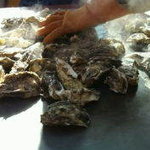 150x150_square_6034586